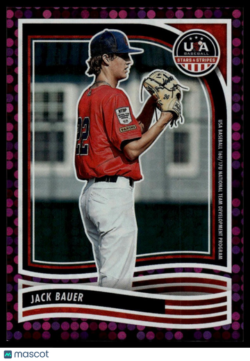 2024 Panini Stars & Stripes USA Baseball Jack Bauer #196 Purple SN