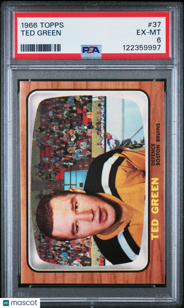 1966 Topps Ted Green #37 PSA 6