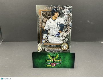 2024 Topps Chrome x Catcus Jack Juan Soto #22