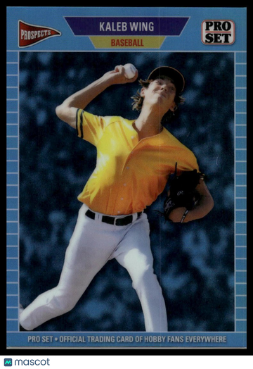 2026 Pro Set Metal - 1989 Pro Set Base Prismatic Platinum Kaleb Wing #89B-112 SN