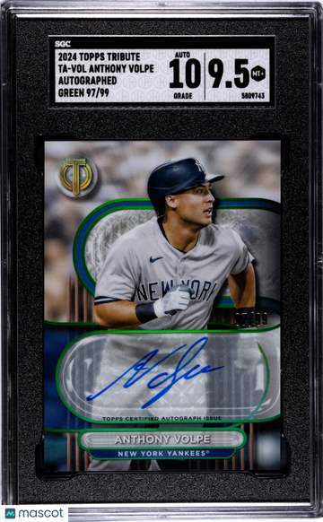 2024 Topps Tribute Anthony Volpe #TA-VOL Autograph Green SGC 9.5 Auto 10