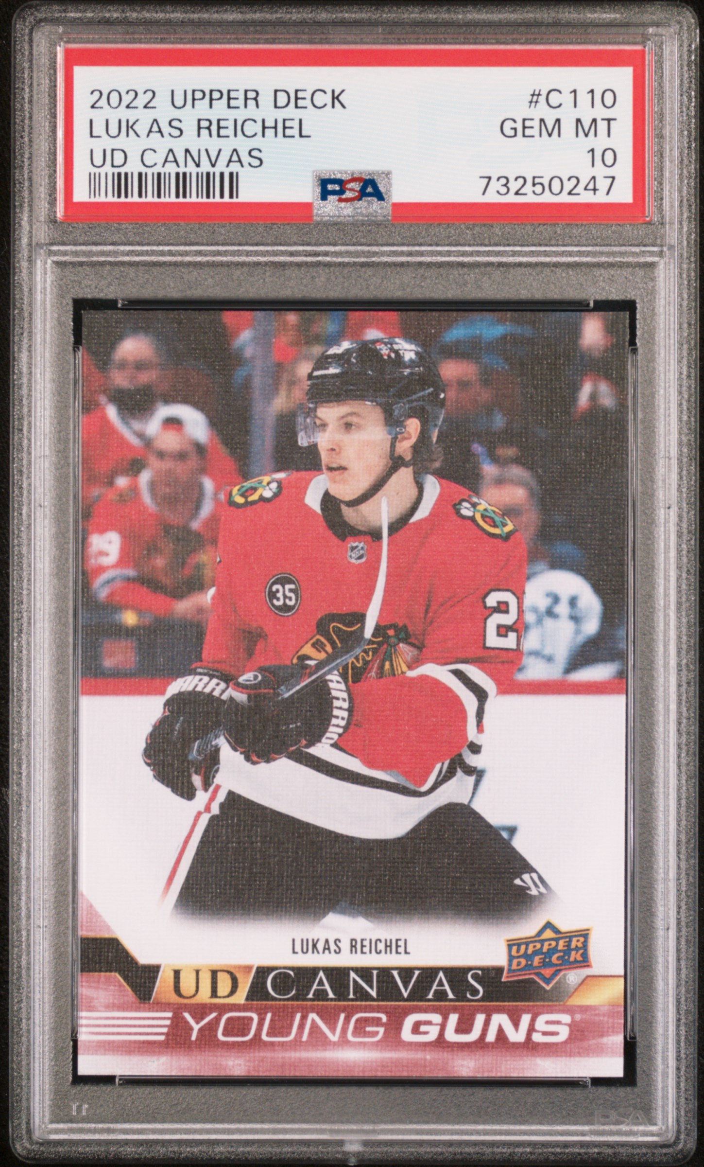 2022 Upper Deck UD Canvas Lukas Reichel #C110 UD Canvas PSA 10