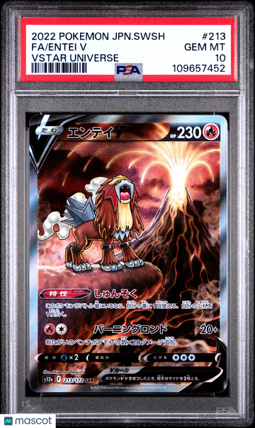 S12a: Vstar Universe Entei V Foil Special Art Rare Japanese PSA 10 #213