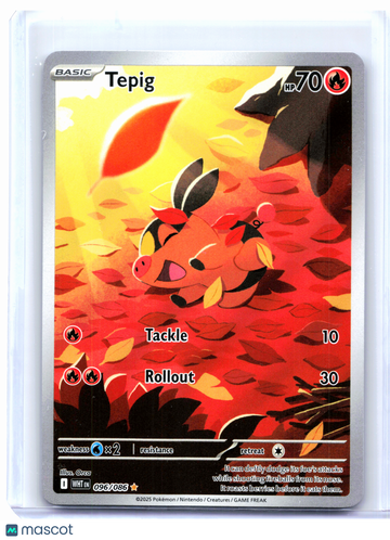 Pokemon White Flare Tepig Holo Illustration Rare Trading Card 096/086 English