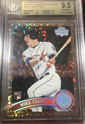 Trout