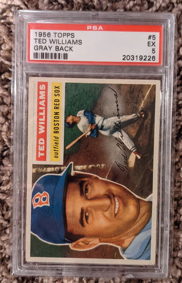 1956 Topps Ted Williams Gray Back PSA 5 Centered