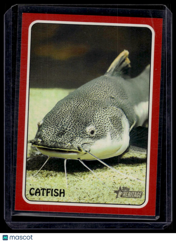 2024 Topps Heritage Catfish #75Z-12 1975 Topps Zoo's Who Stick-Ons Red
