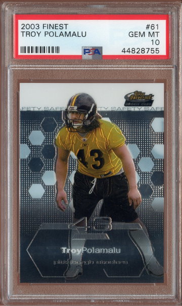Troy Polamalu