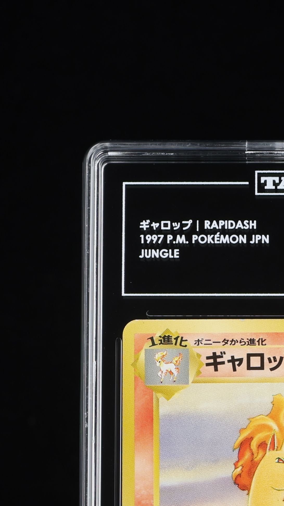 1997 Pokemon ギャロップ Rapidash #NNO P.M. Pokémon Japanese TAG 5