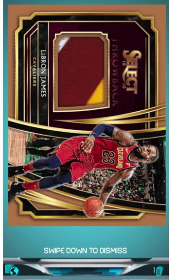 Panini Dunk 2019 Select Lebron James Gold Patch