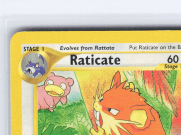 Southern Islands Raticate Non-Foil Promo (Lightly Played) #6/18