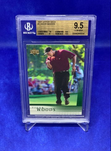 Tiger Woods