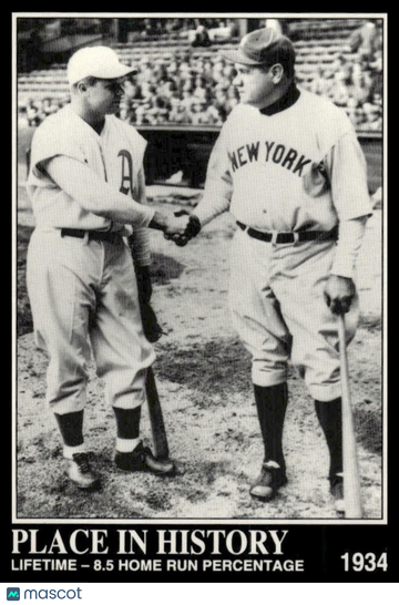 1992 Megacards Babe Ruth Lifetime - 8.5 Home Run Percentage #47