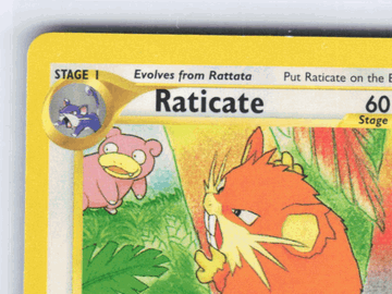Southern Islands Raticate Non-Foil Promo #6/18