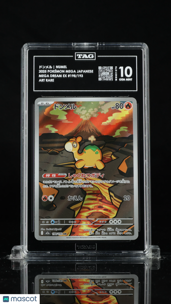 Pokémon MEGA Japanese ドンメル Numel TAG 10 #198/193