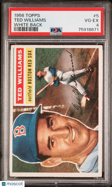 1956 Topps Ted Williams #5 White Back PSA 4