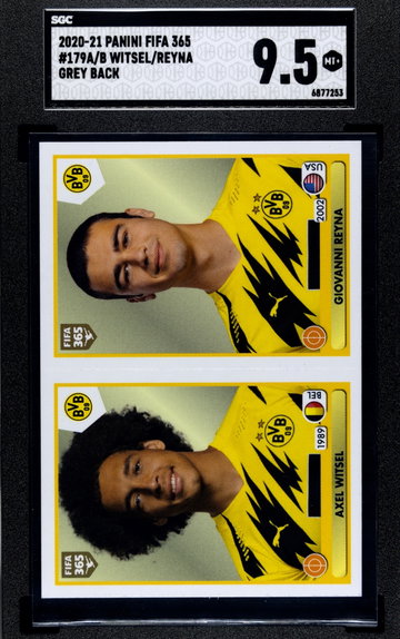 2020 Panini FIFA 365 Witsel/Reyna