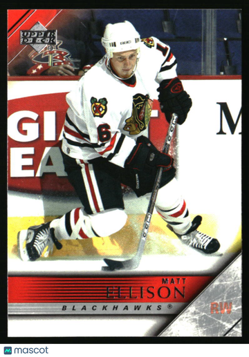 2005-06 Upper Deck Matt Ellison #290 Chicago Blackhawks