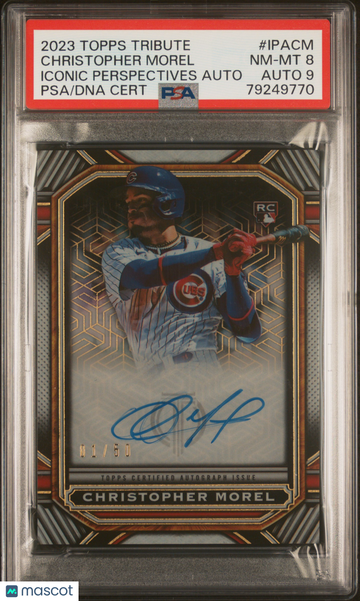 2023 Topps Tribute Iconic Perspectives Autograph Christopher Morel #IPACM /50 PSA 8 Auto 9