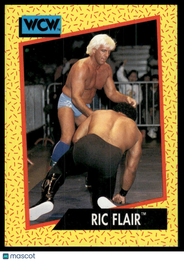 1991 Impel WCW Ric Flair #38