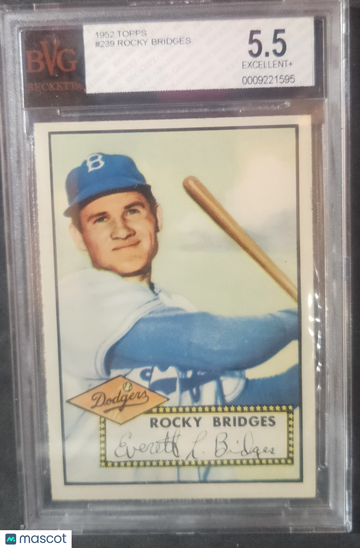 1952 Topps Rocky Bridges #239 Rookie BVG 5.5