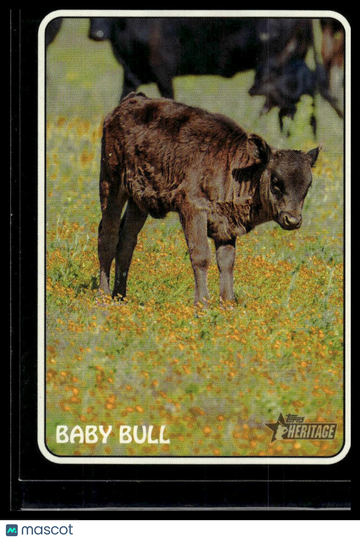 2024 Topps Heritage Baby Bull #75Z-19 1975 Topps Zoo's Who Stick-Ons