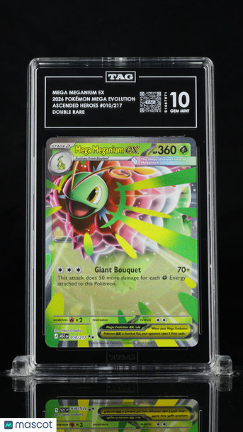 Pokémon Mega Evolution Mega Meganium ex TAG 10 #010/217