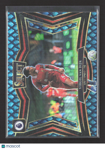 2025 Panini Select Premier League Soccer Field Level Virgil van Dijk #243 Blue Snakeskin Prizm /48