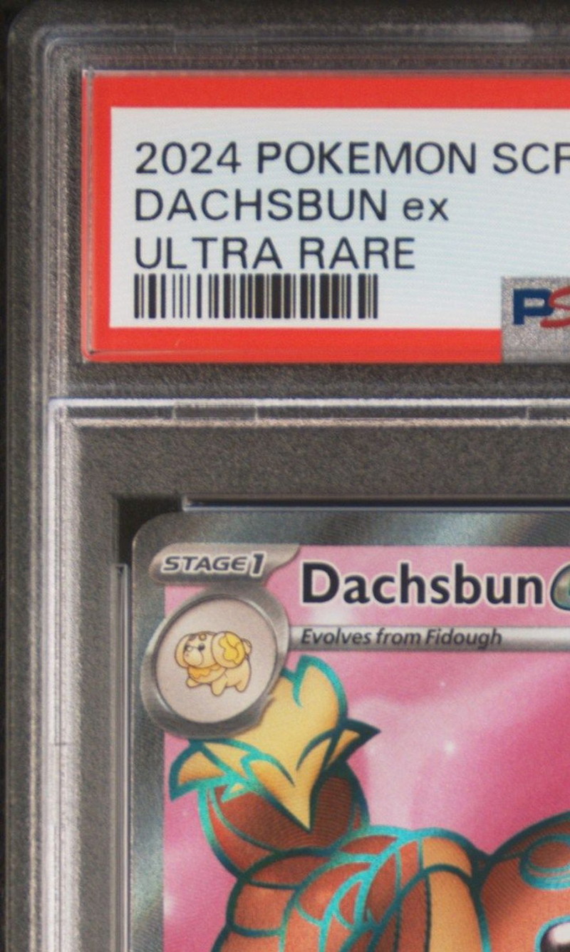 pokemon card dachsbun ex 099/198 - Scarlet & Violet - Evolution 3 Lot Psychic Rarity Dachsbun ex 067/142 - Stellar