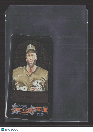 2023 Topps Allen & Ginter Stained Glass Luis Robert Jr. #378