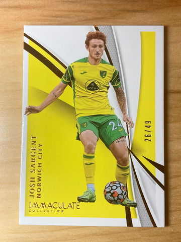 2021 Pannini Immaculate Soccer Josh Sargent /49 Norwich City