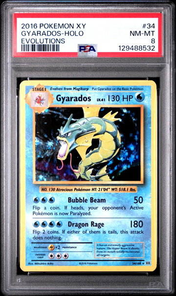 2016 Pokemon XY Evolutions Holo Gyarados #34 PSA 8