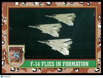 1991 Desert Storm F-14 Flies in Formation #22