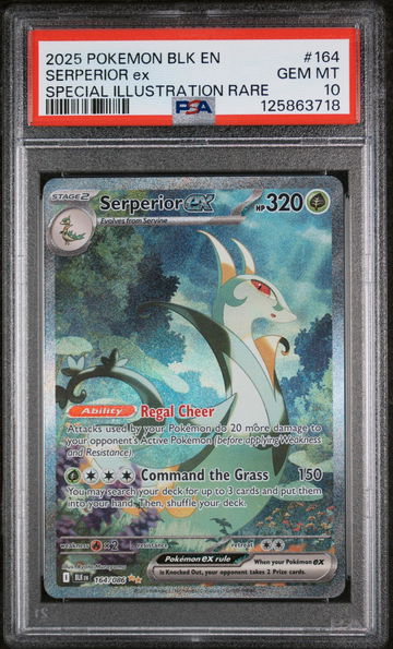 2025 Black Bolt - Blk En - English Special Illustration Rare Holo Serperior Ex #164 PSA 10