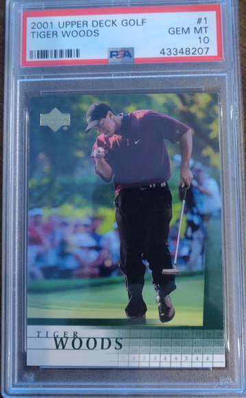 Tiger Woods 