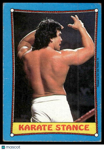 1987 Topps WWF Karate Stance #43