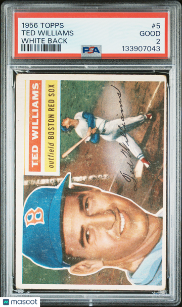 1956 Topps Ted Williams #5 White Back PSA 2
