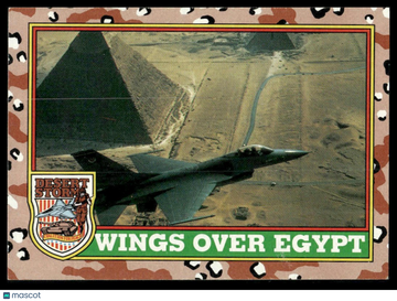 1991 Desert Storm Wings Over Egypt #31