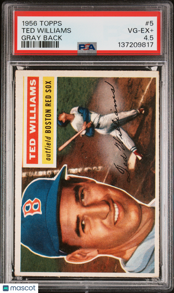 1956 Topps Ted Williams #5 Gray Back PSA 4.5