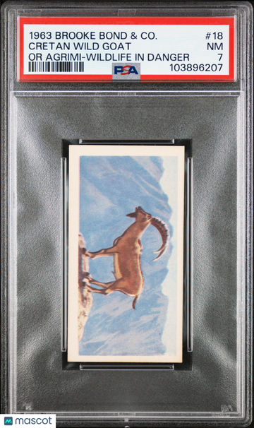 1963 Brooke Bond & Co. Wildlife In Danger Cretan Wild Goat #18 PSA 7