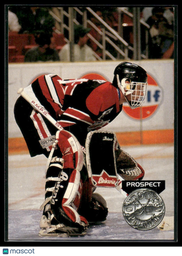 1991-92 Pro Set Platinum Dominik Hasek #252 RC