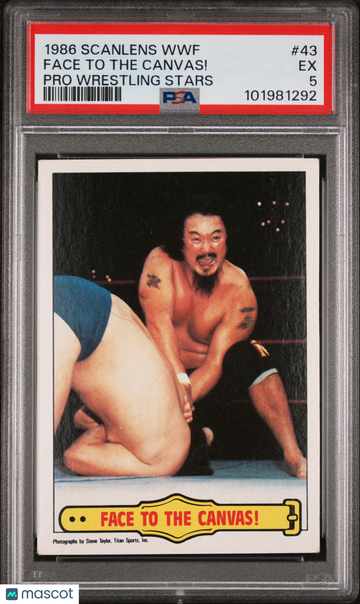 1986 Scanlens WWF Pro Wrestling Stars Face To The Canvas! #43 PSA 5
