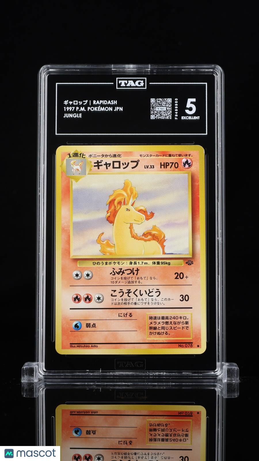 1997 Pokemon ギャロップ Rapidash #NNO P.M. Pokémon Japanese TAG 5