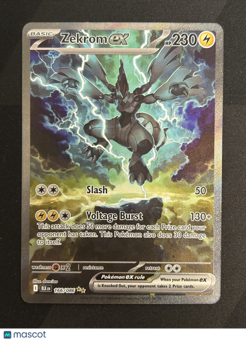2025 Scarlet & Violet Black Bolt Zekrom EX Holo Secret Rare SIR #166/86