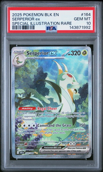 2025 Pokemon Scarlet and Violet Black Bolt Special Illustration Rare Serperior Ex #164 PSA 10