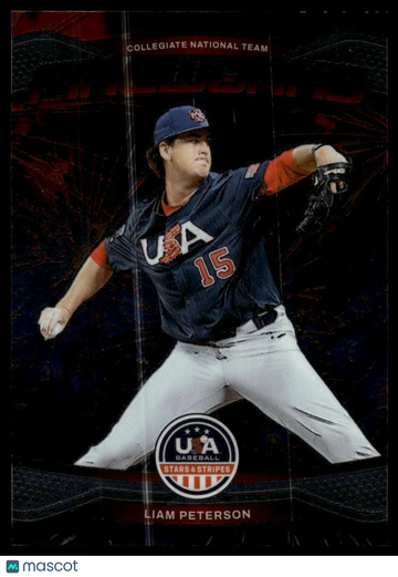 2026 Panini Stars & Stripes Prizm USA Baseball Liam Peterson #16 Fireworks