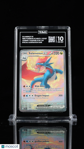 Journey Together Salamence ex Holo Special Illustration Rare TAG 10 #187/159