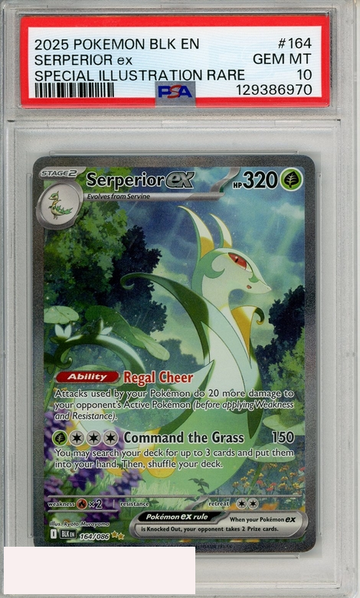 2025 POKEMON BLK EN-BLACK BOLT SERPERIOR EX #164 SIR PSA 10 GEM MT