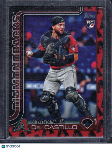 2025 Topps Adrian Del Castillo #226 Team Color Border