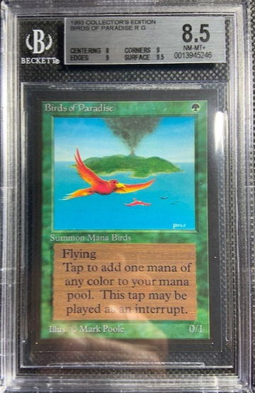 1993 MTG CE Collector's Edition BOP Birds of Paradise BGS 8.5 NM-MINT+ 